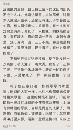 菲律宾移民局：离境旅客5月1日起将不需填写纸质离境卡